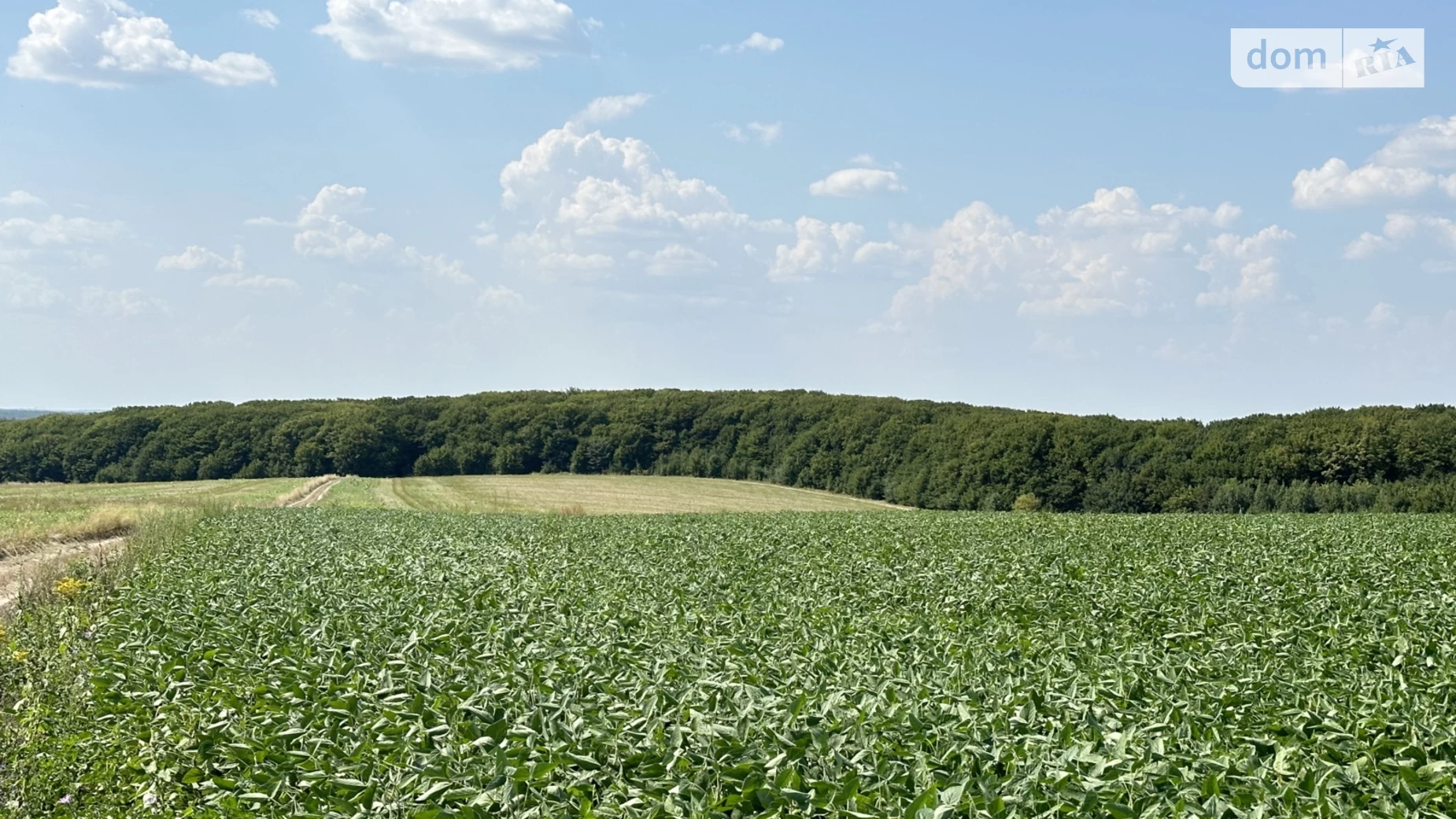 Продається земельна ділянка 381.57 соток у Вінницькій області, цена: 573000 $ - фото 2