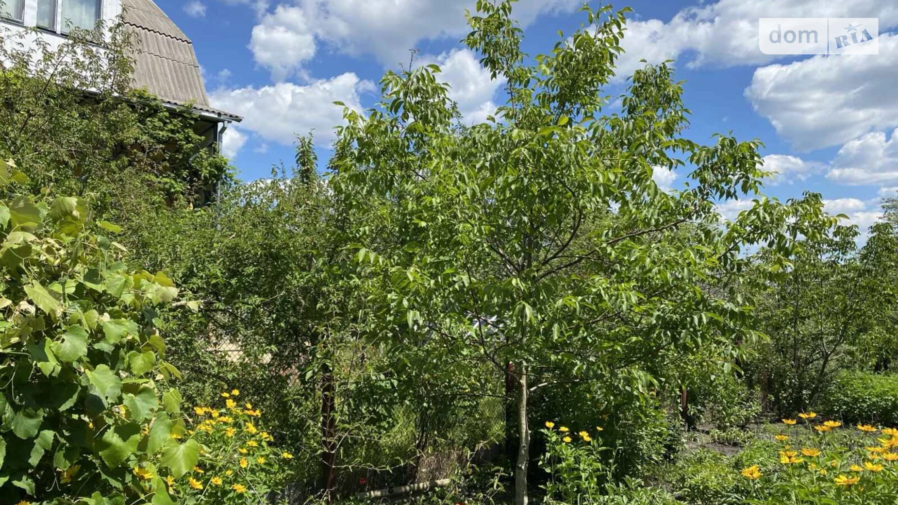 ул. Энергетиков Ирпень, цена: 65000 $ - фото 2