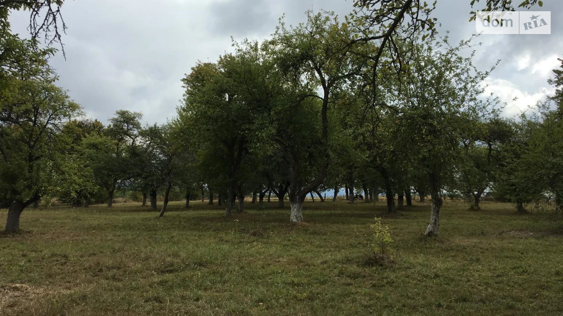 Продается одноэтажный дом 43.2 кв. м с верандой, цена: 54000 $ - фото 4