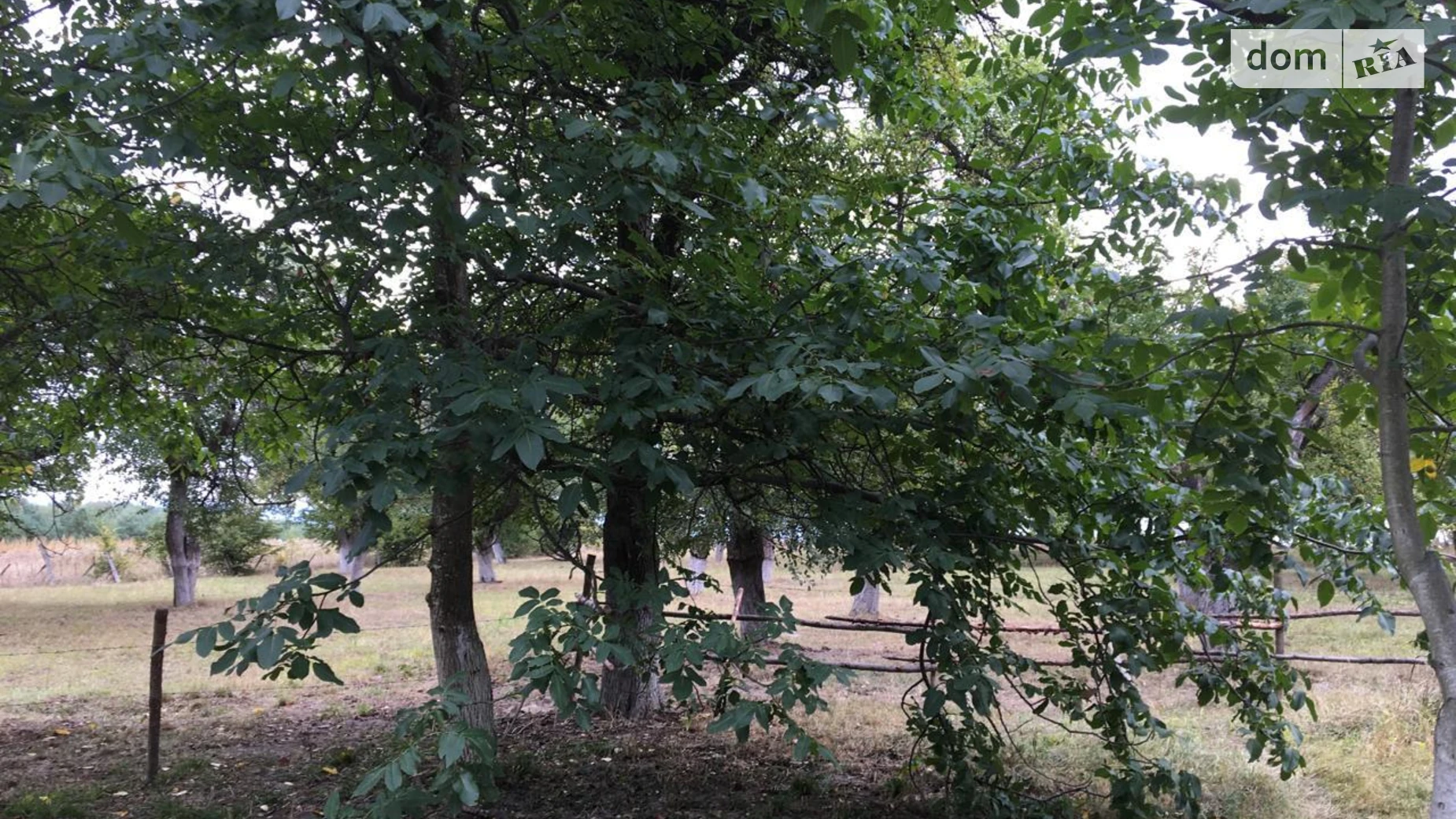 Продается одноэтажный дом 43.2 кв. м с верандой, цена: 54000 $ - фото 5