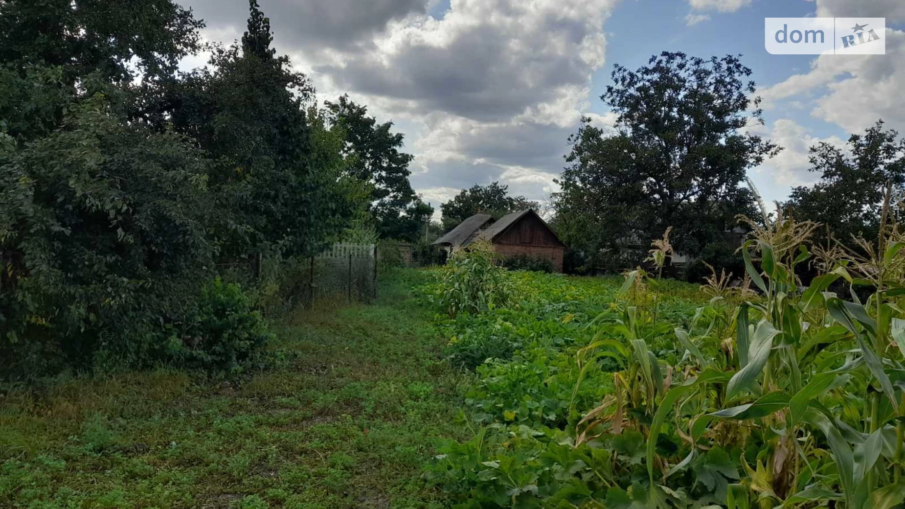 Продается земельный участок 49 соток в Винницкой области, цена: 16500 $ - фото 2