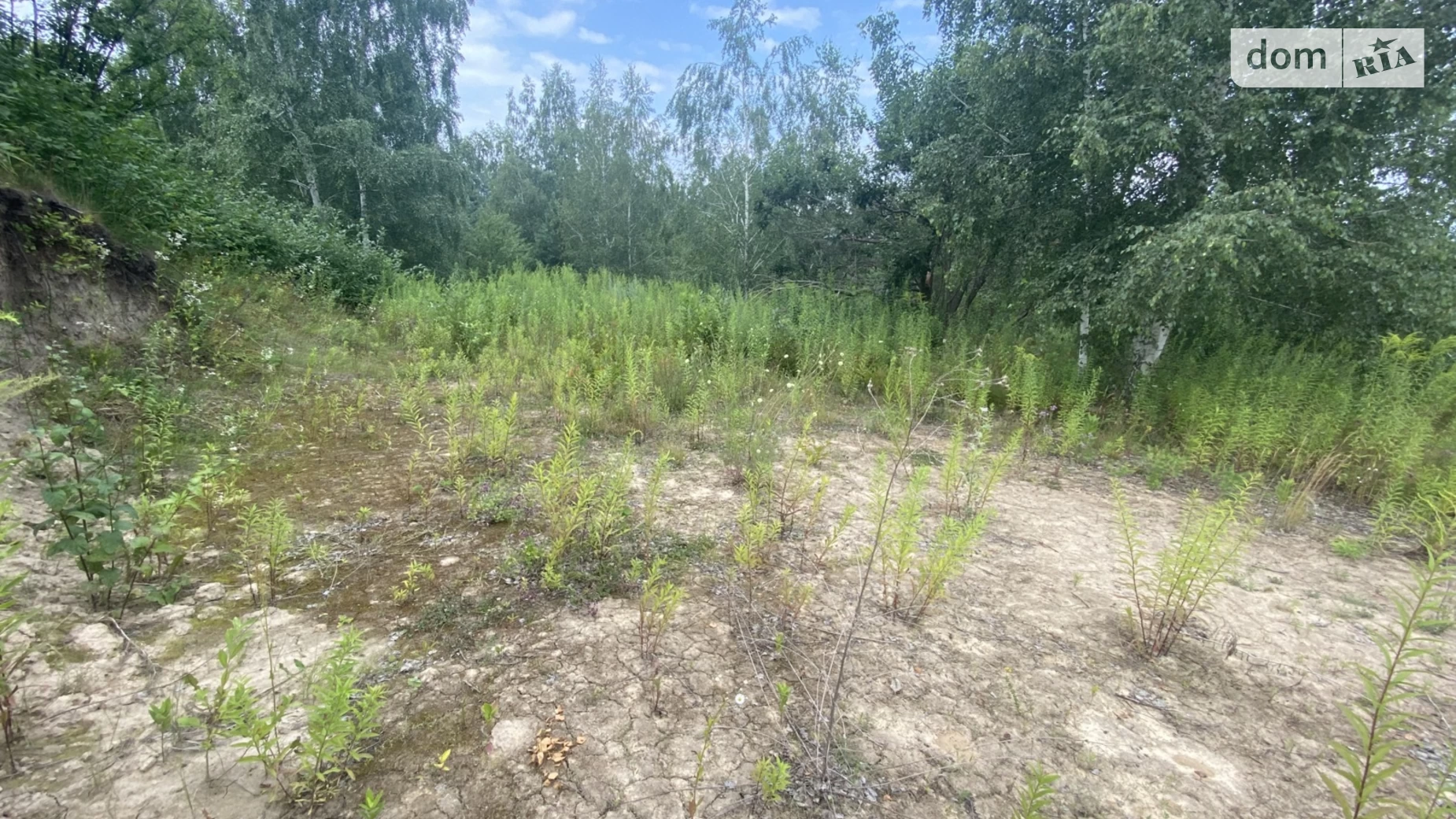 мас. Верховина Новоселки (Макаров), цена: 5500 $ - фото 3