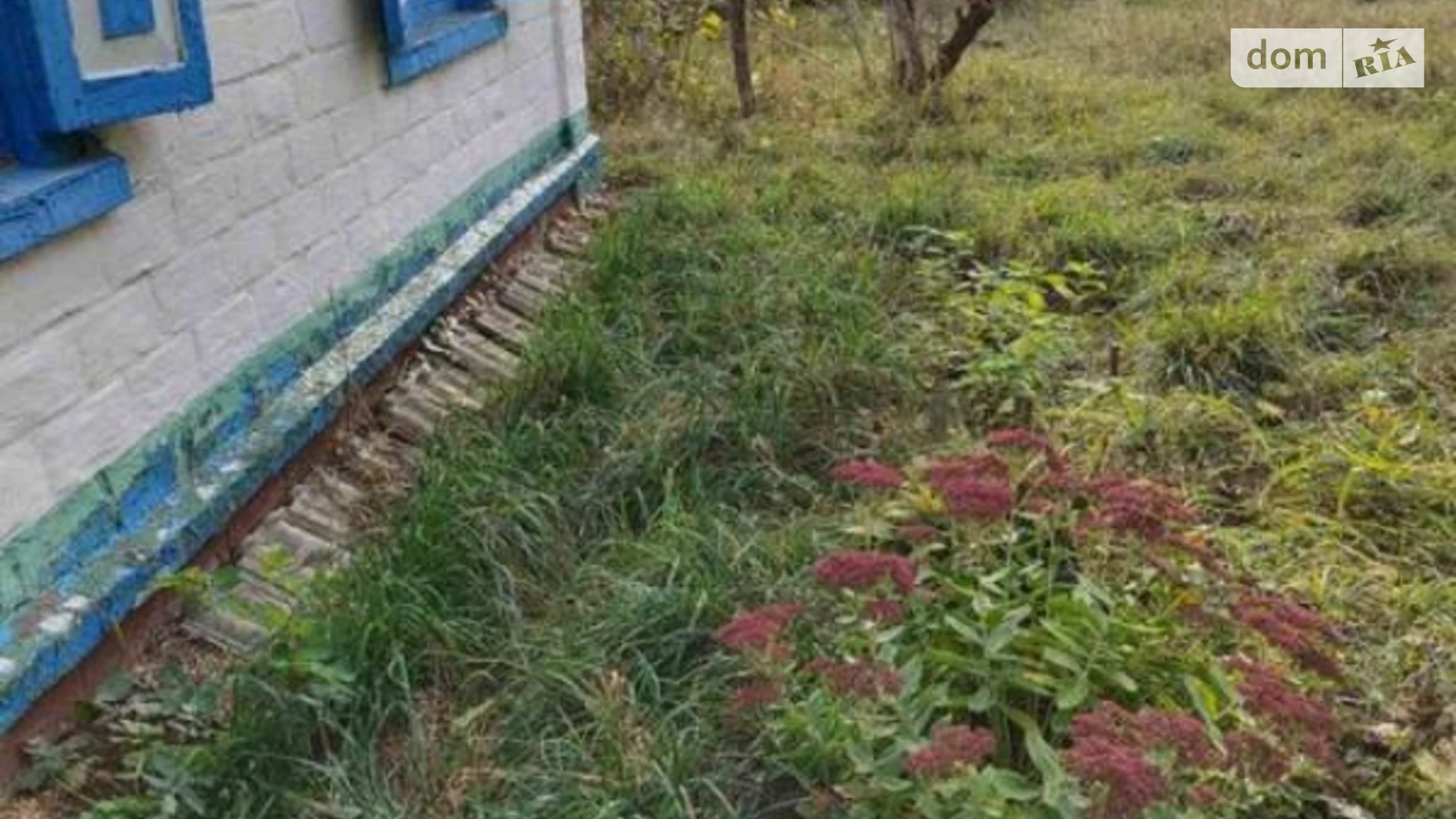 Продается одноэтажный дом 62 кв. м с бассейном, цена: 5000 $ - фото 4