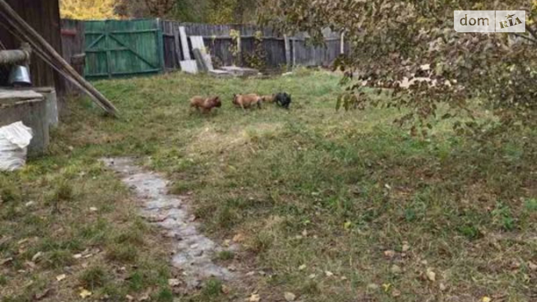 Продается одноэтажный дом 62 кв. м с бассейном, цена: 5000 $ - фото 5