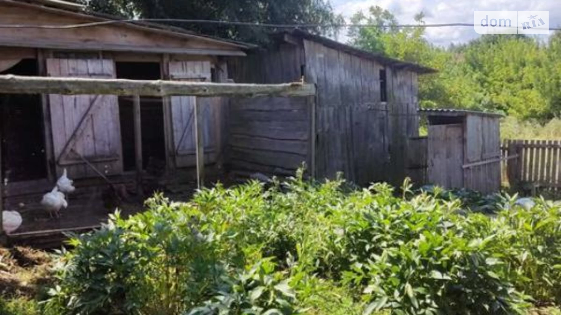 Продається одноповерховий будинок 48 кв. м з меблями, цена: 7000 $ - фото 5