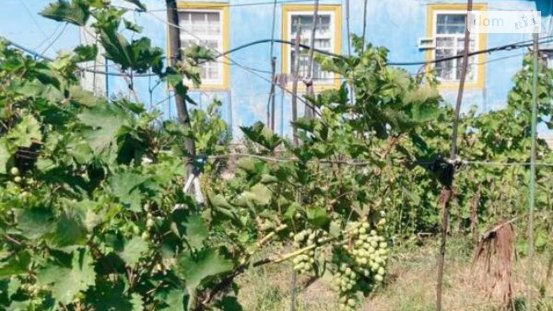 Продається одноповерховий будинок 45 кв. м з мансардою, цена: 200000 грн - фото 3