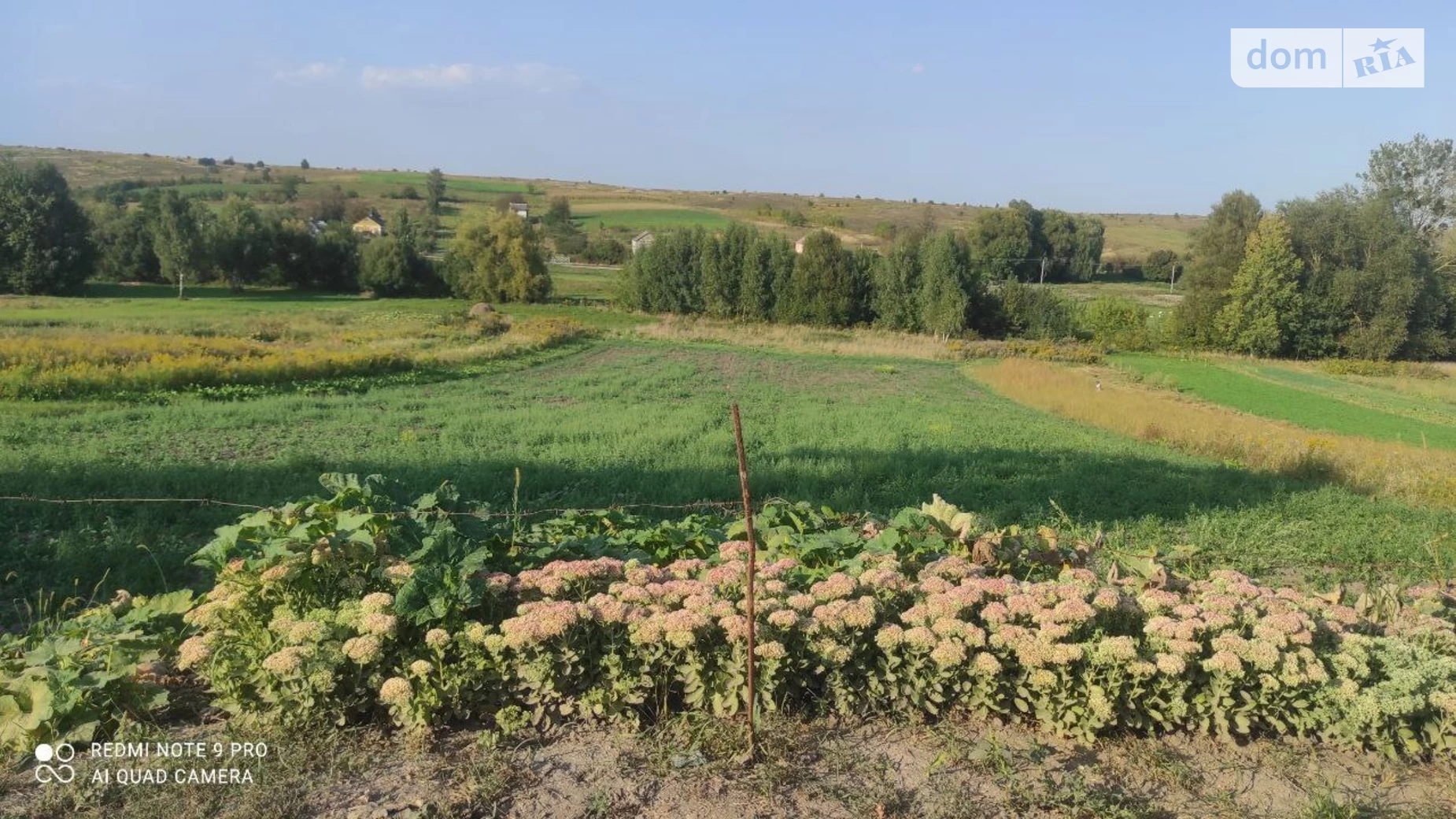 Продається земельна ділянка 40 соток у Рівненській області, цена: 10000 $ - фото 4