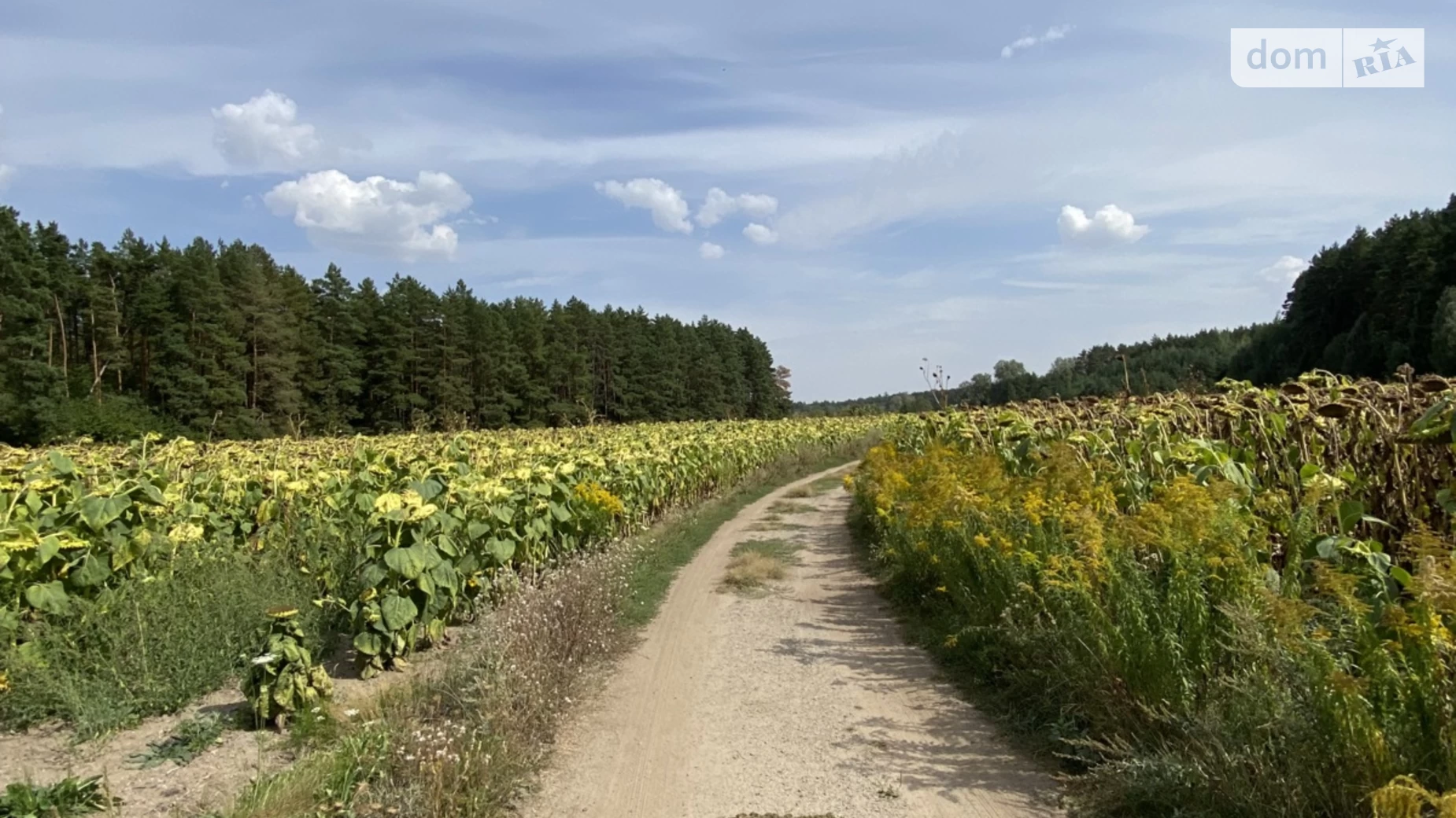 Продається земельна ділянка 5 соток у Вінницькій області, цена: 280000 $ - фото 2