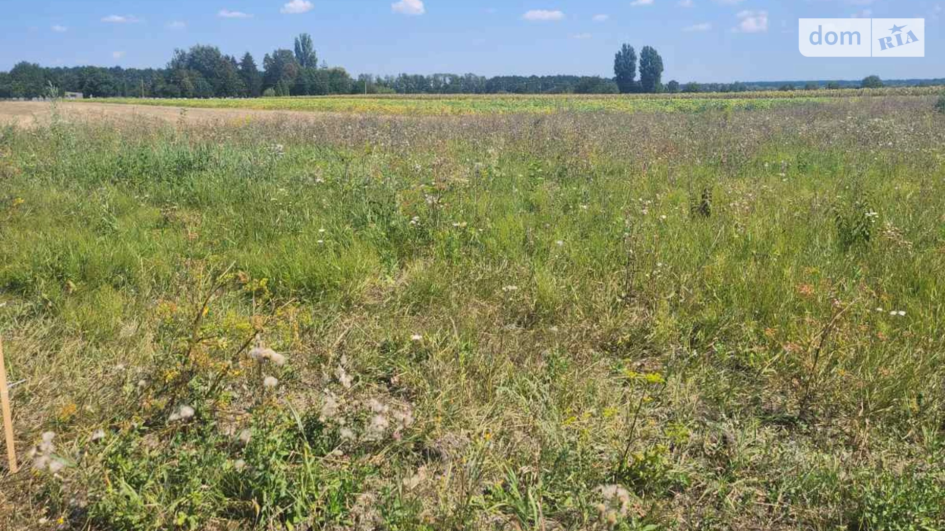 Продается земельный участок 15 соток в Винницкой области, цена: 6000 $ - фото 4
