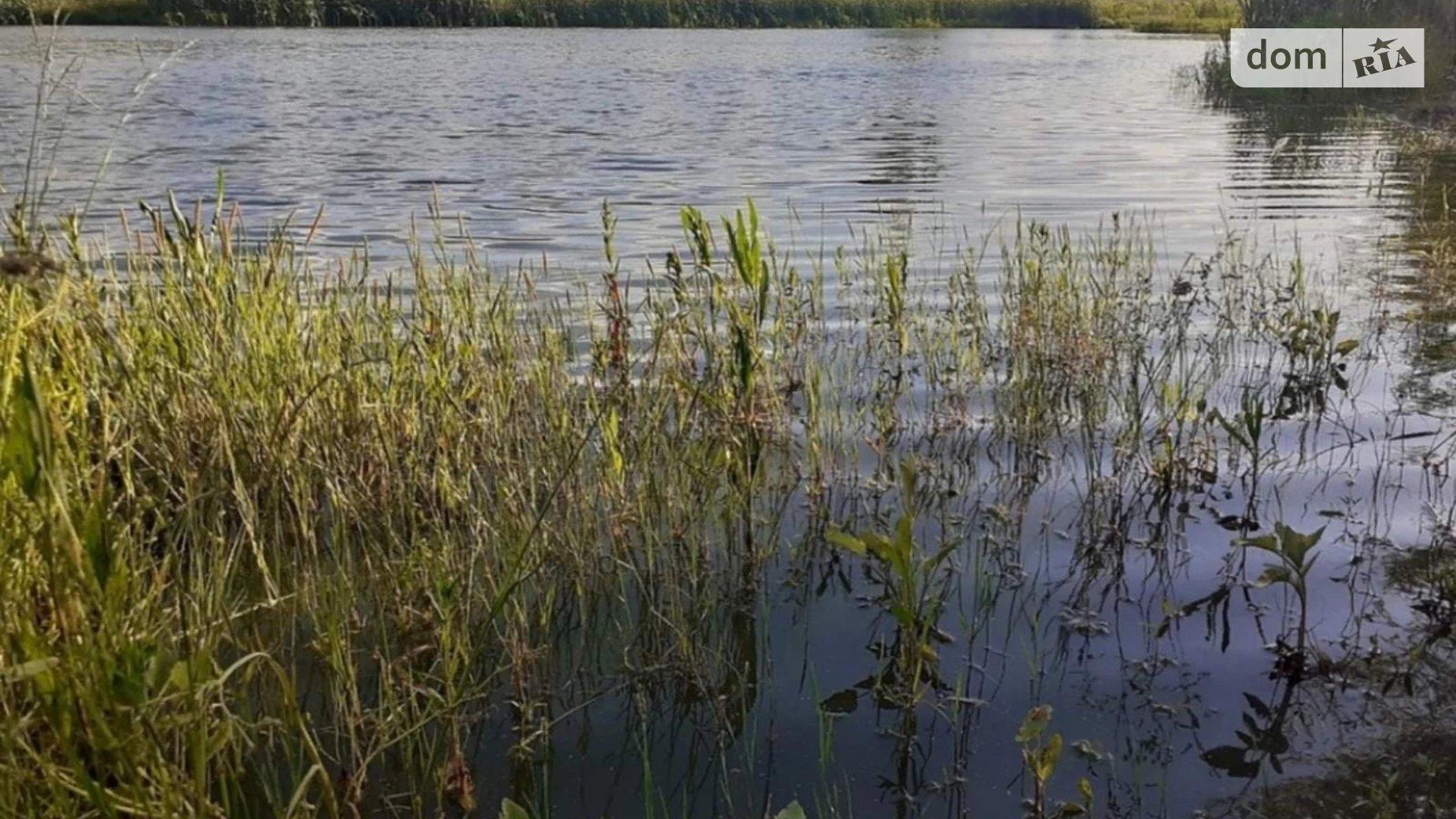 вул. Незалежності(Леніна) Гавришівка, цена: 350000 $ - фото 3
