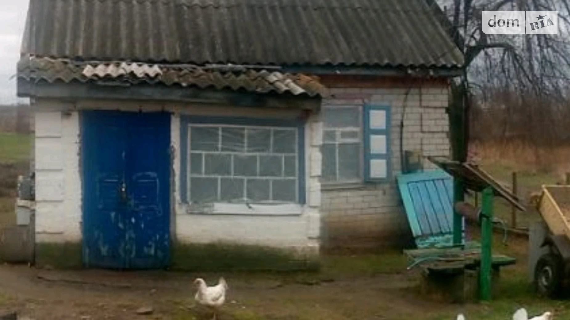 Продается одноэтажный дом 38.5 кв. м с подвалом, цена: 4500 $ - фото 3
