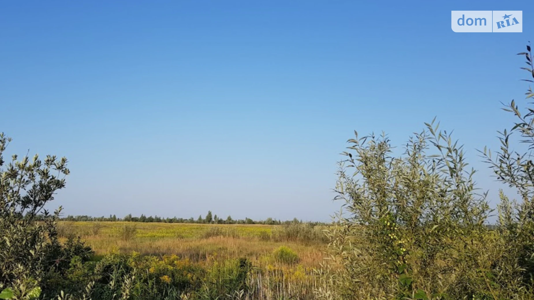 Торфяное, цена: 4000 $ - фото 3