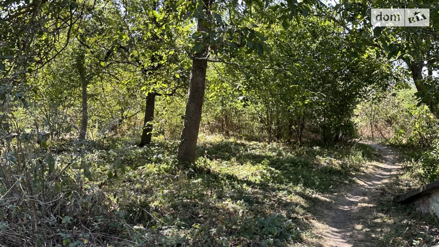 Продається земельна ділянка 35 соток у Вінницькій області, цена: 84000 $ - фото 5