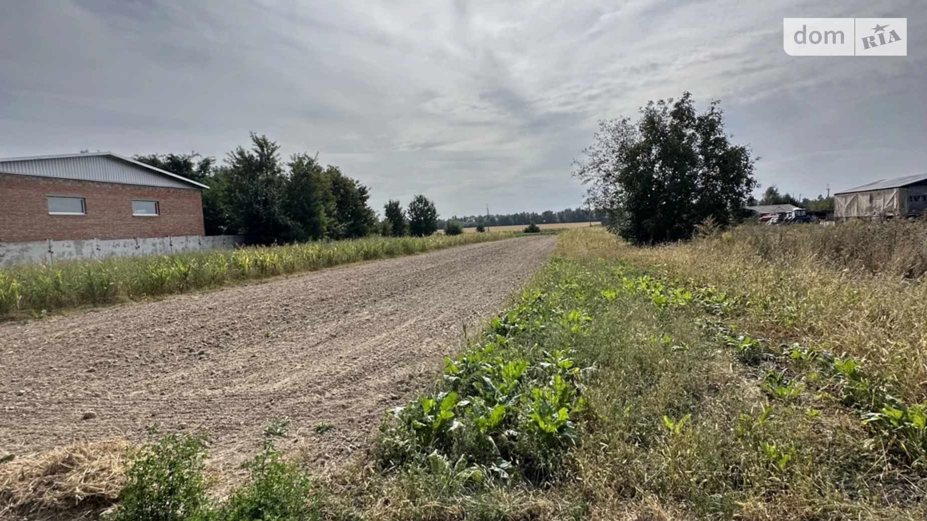 вул. Садова Якушинці, цена: 120499 $ - фото 4