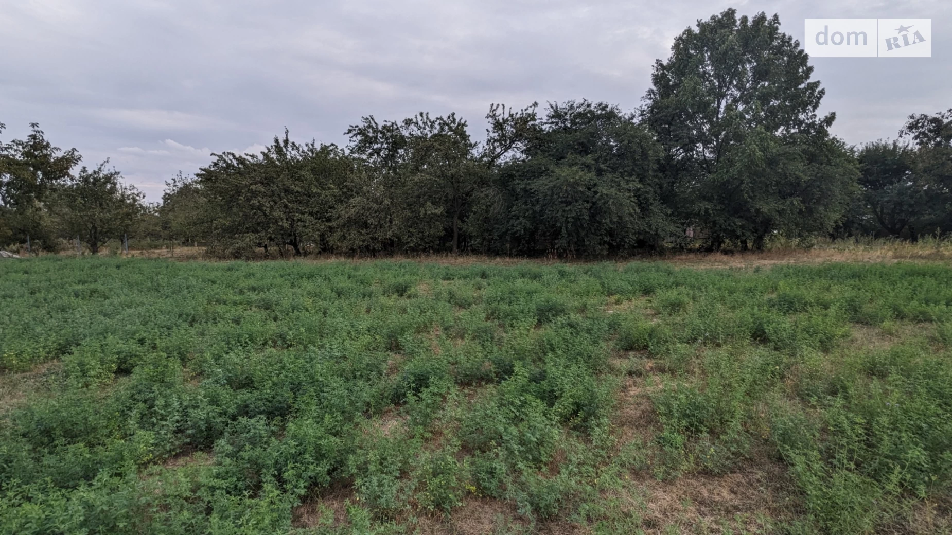 вул. Вишнева Мізяківські Хутори, цена: 15500 $ - фото 3
