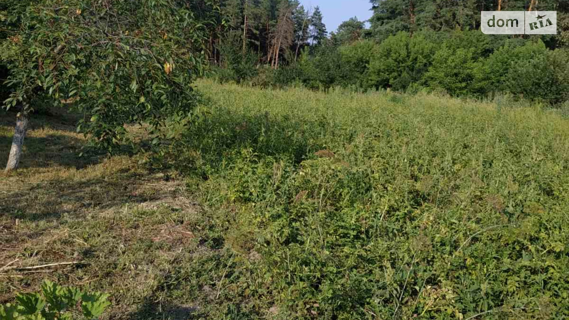 Продается одноэтажный дом 37.6 кв. м с камином, цена: 21500 $ - фото 3