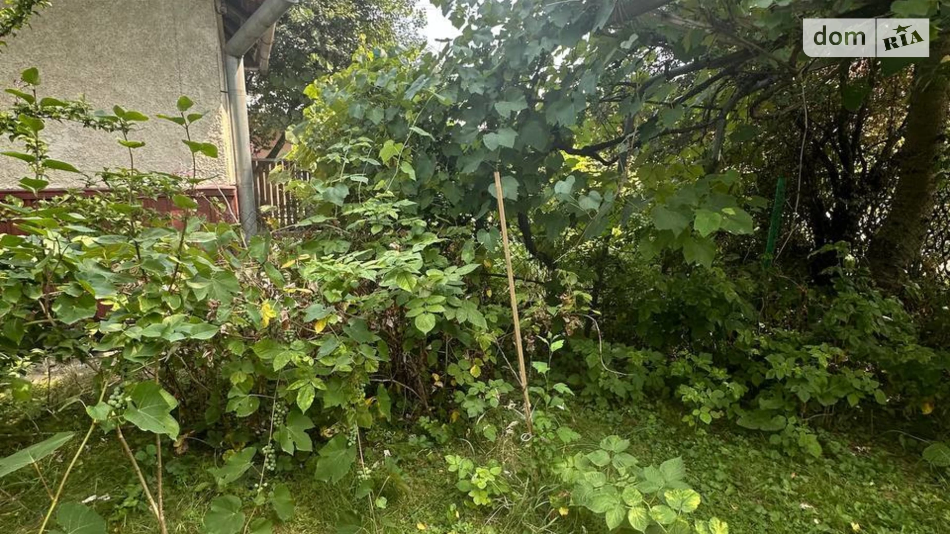 Продається одноповерховий будинок 48.4 кв. м з терасою, цена: 25000 $ - фото 4