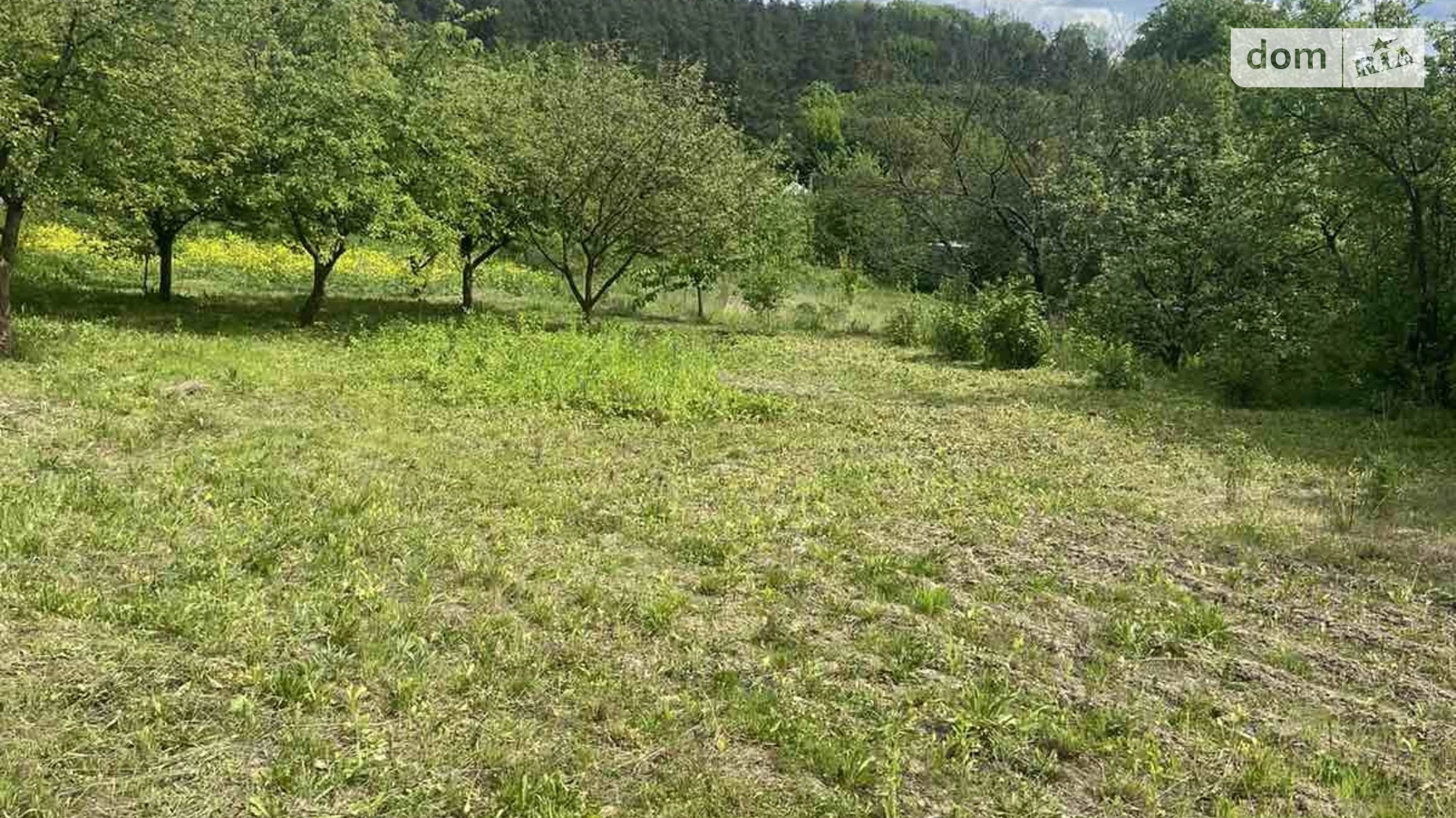 мас. Ранкові Зорі Стуфчинці, цена: 15000 $ - фото 4