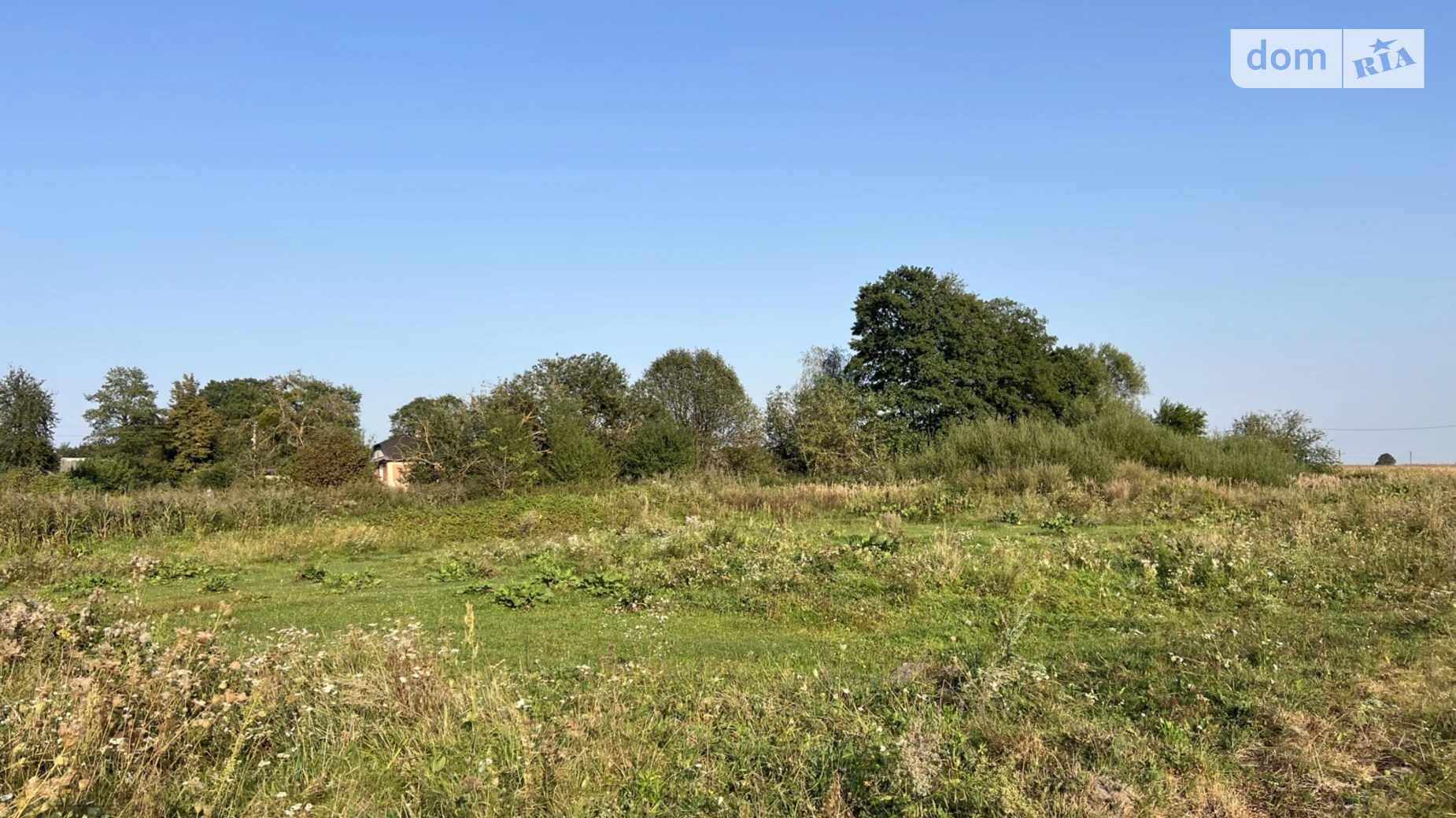 пухова Александрия, цена: 7500 $ - фото 2