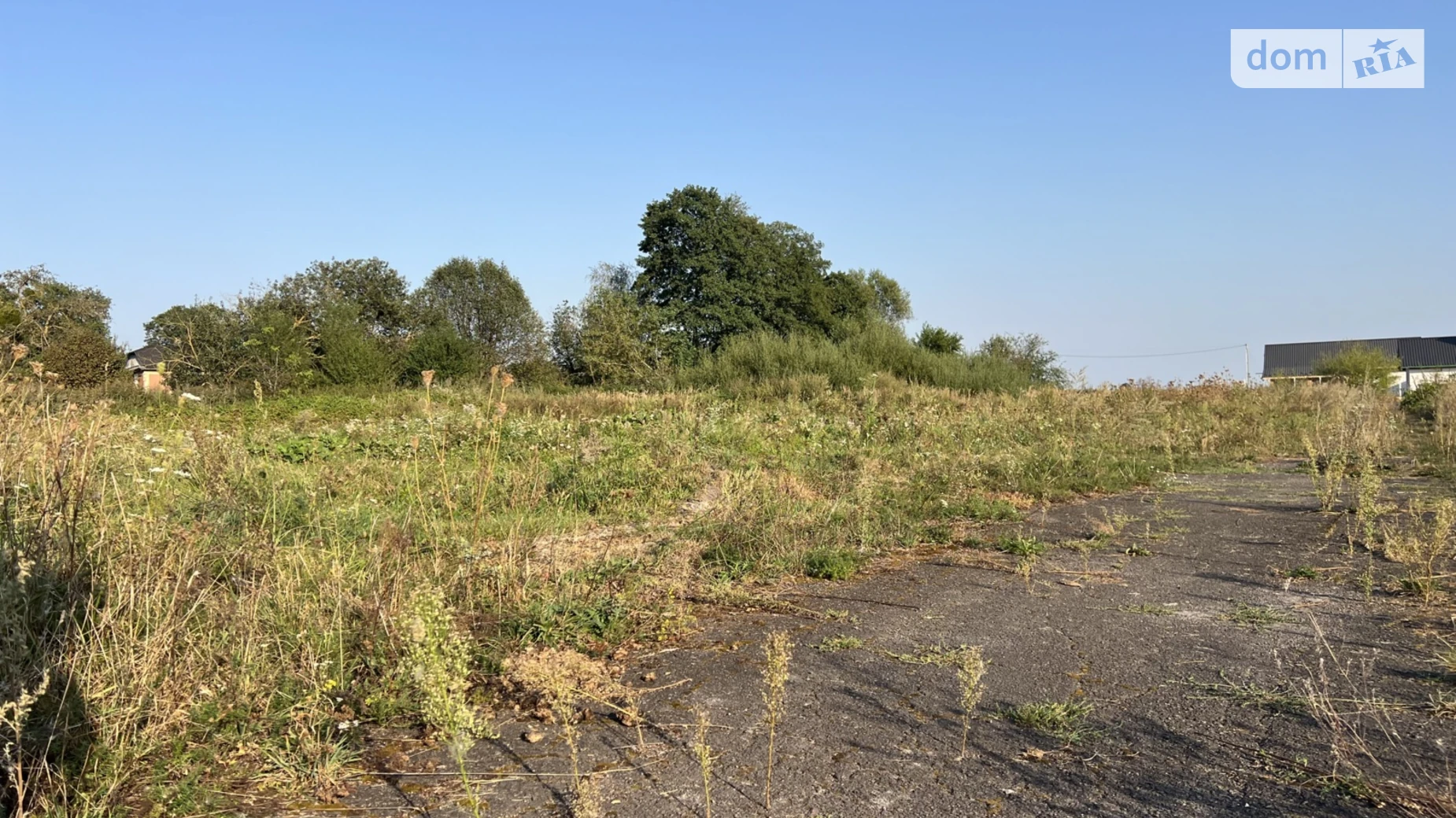 пухова Александрия, цена: 7500 $ - фото 4