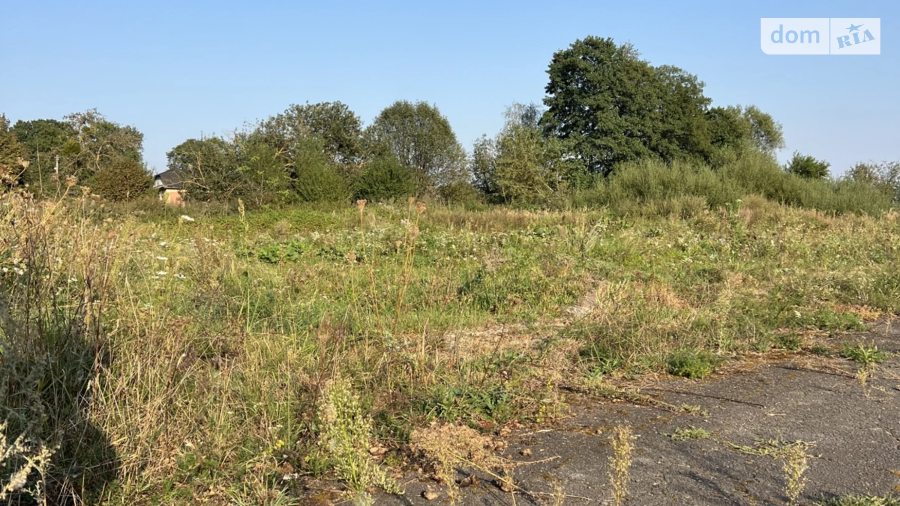 пухова Александрия, цена: 7500 $ - фото 5