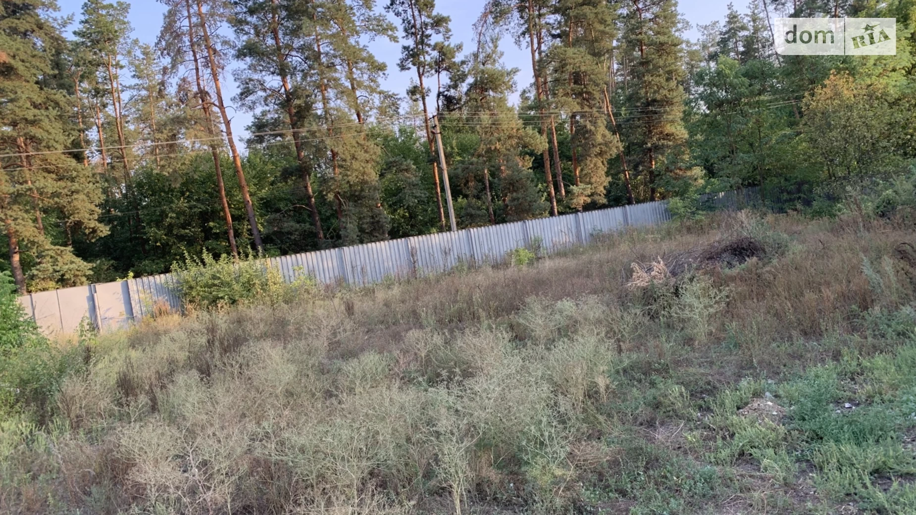 Продается земельный участок 30 соток в Днепропетровской области, цена: 30000 $ - фото 2