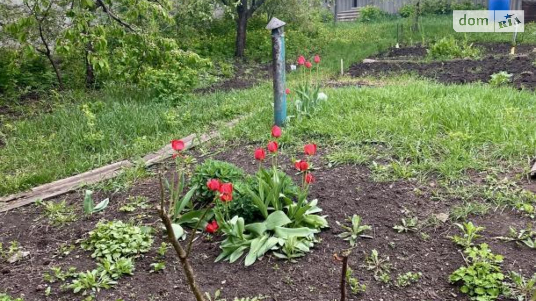 Продается одноэтажный дом 74 кв. м с верандой, цена: 32900 $ - фото 2