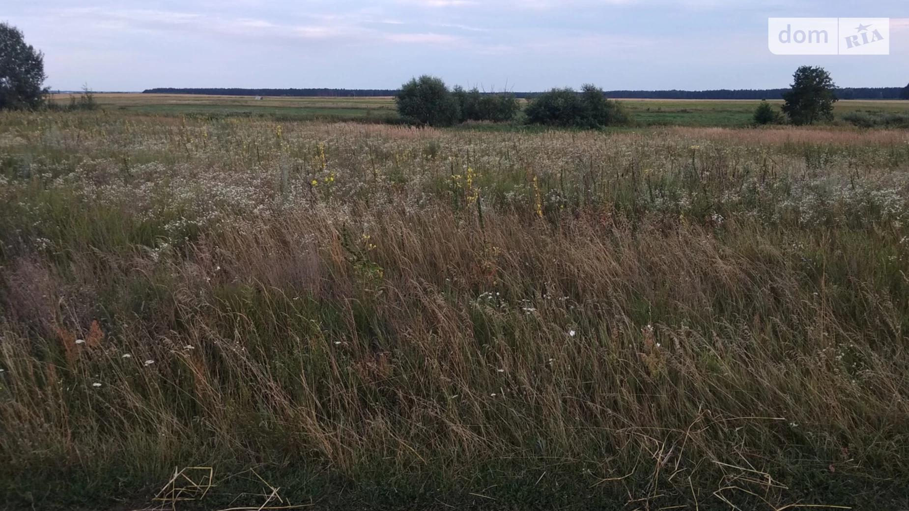 Продається земельна ділянка 20 соток у Житомирській області, цена: 2000 $ - фото 2