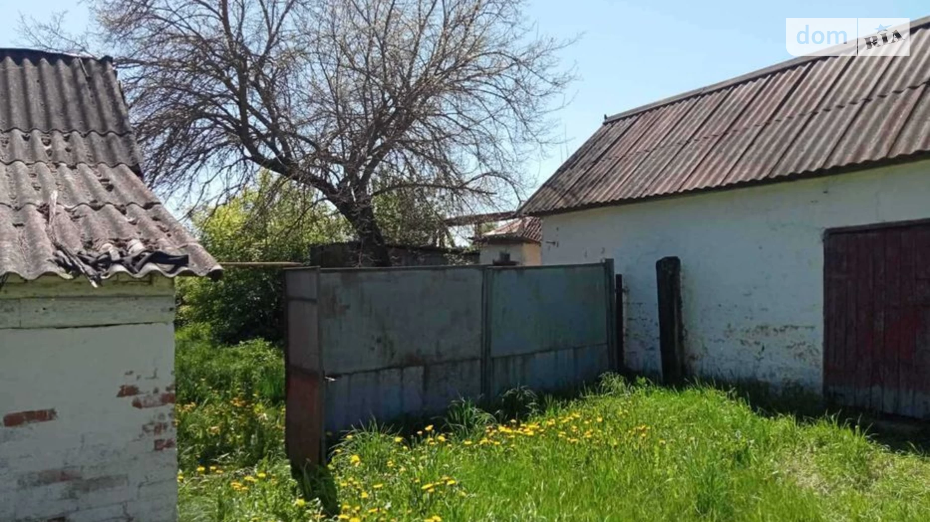 вул. Семака Петрівка (Щорс), цена: 3500 $ - фото 5
