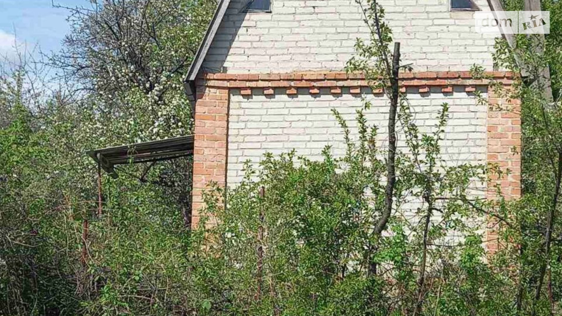 ромашка Вінницькі Хутори, цена: 10000 $ - фото 3