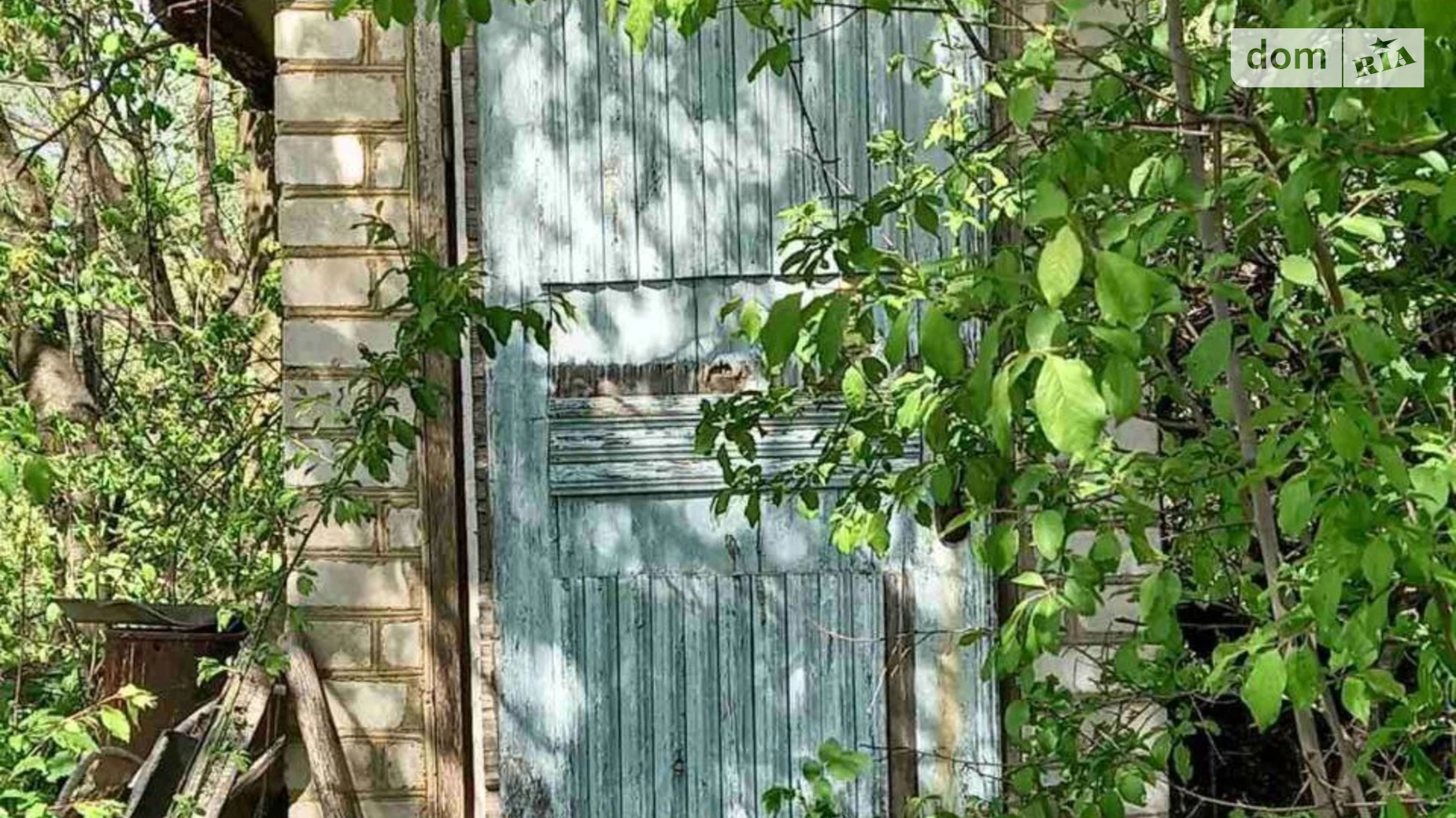 ромашка Вінницькі Хутори, цена: 10000 $ - фото 5