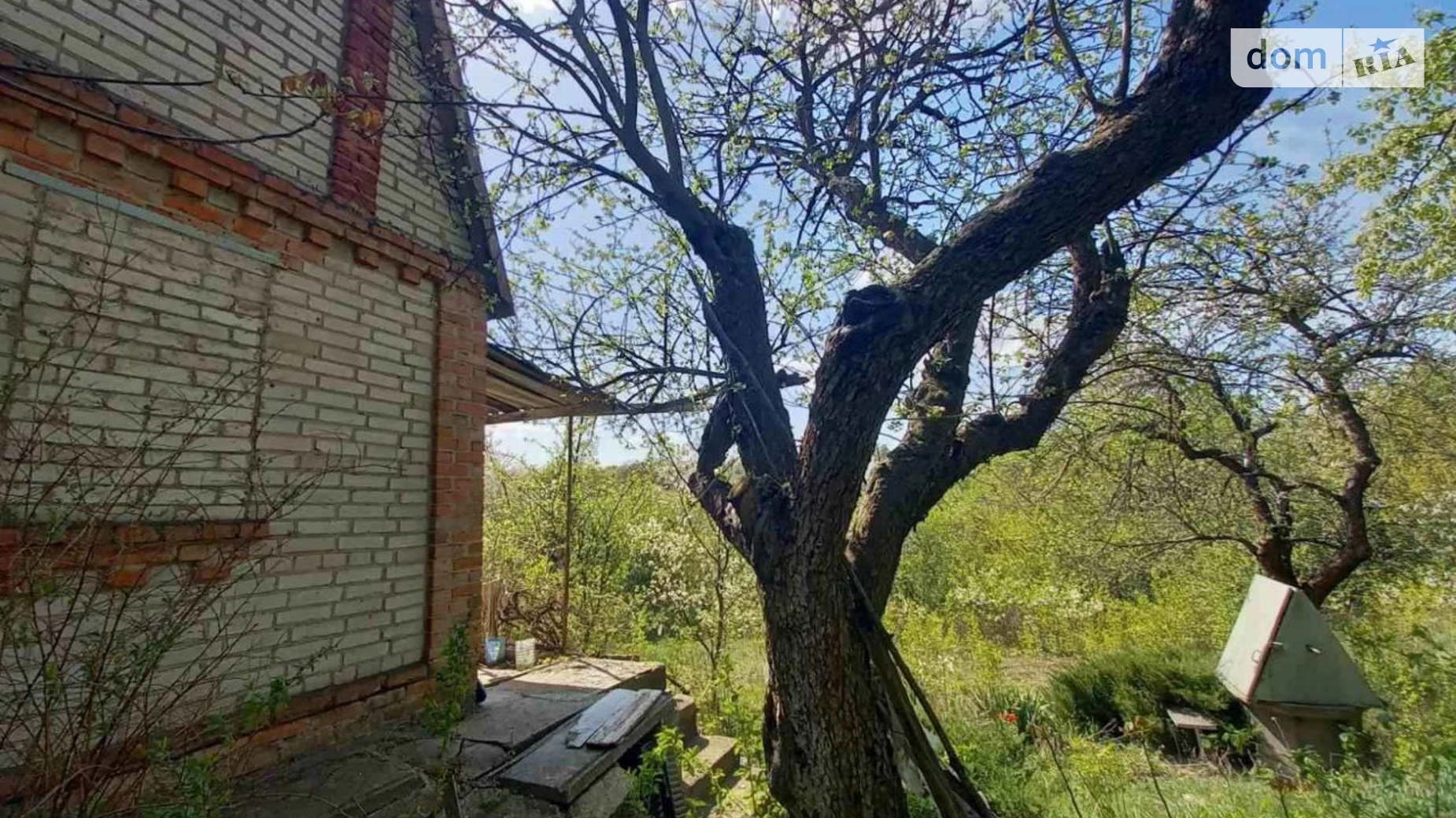 ромашка Вінницькі Хутори, цена: 10000 $ - фото 2