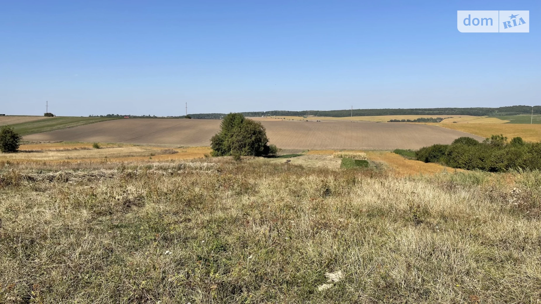Лесовые Гриновцы, цена: 5500 $ - фото 2
