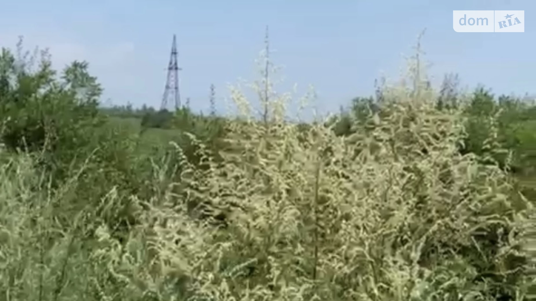 Продається земельна ділянка 146.17 соток у Закарпатській області, цена: 120000 $ - фото 2