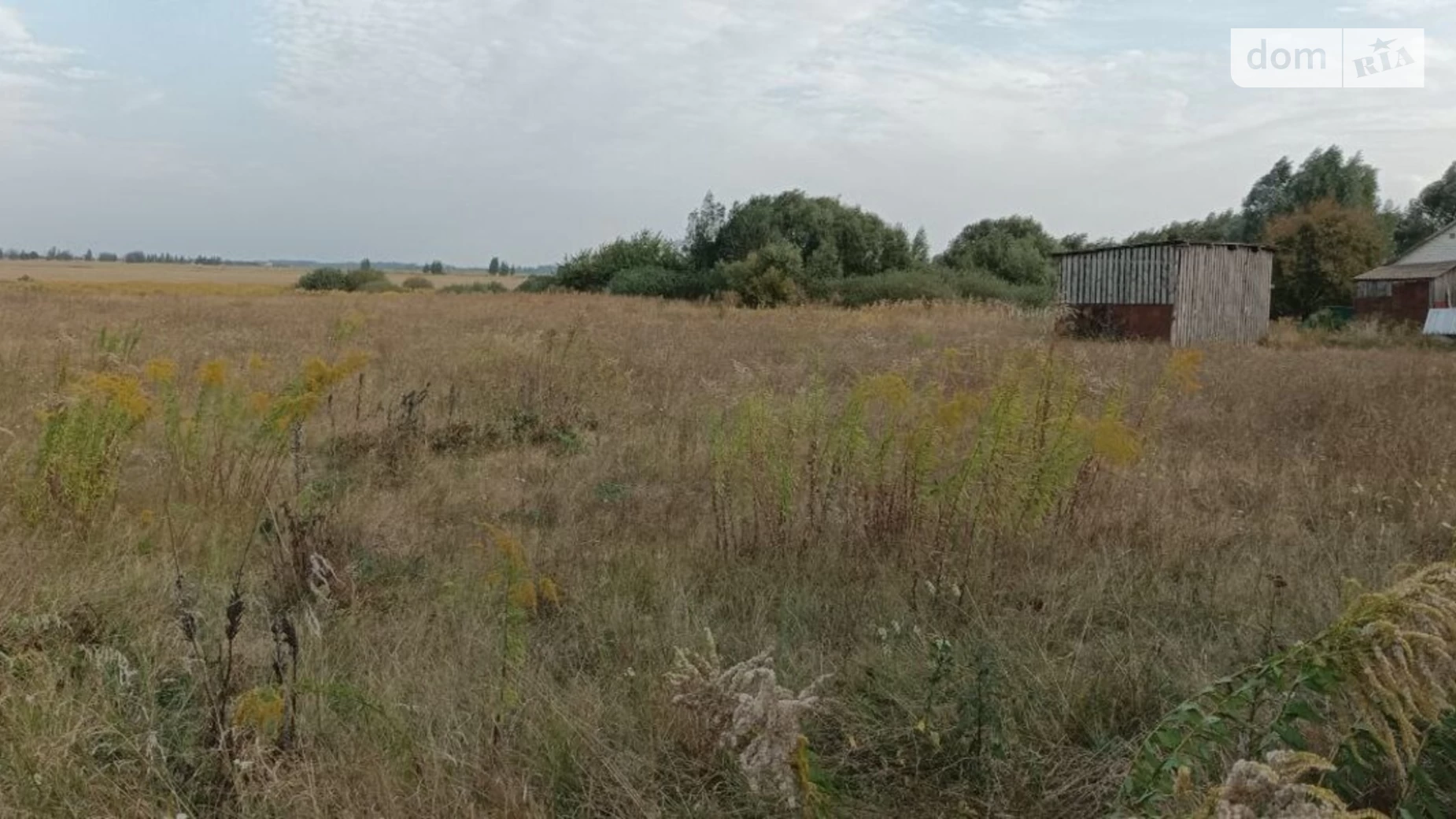 Продається земельна ділянка 40 соток у Житомирській області, цена: 12000 $ - фото 3