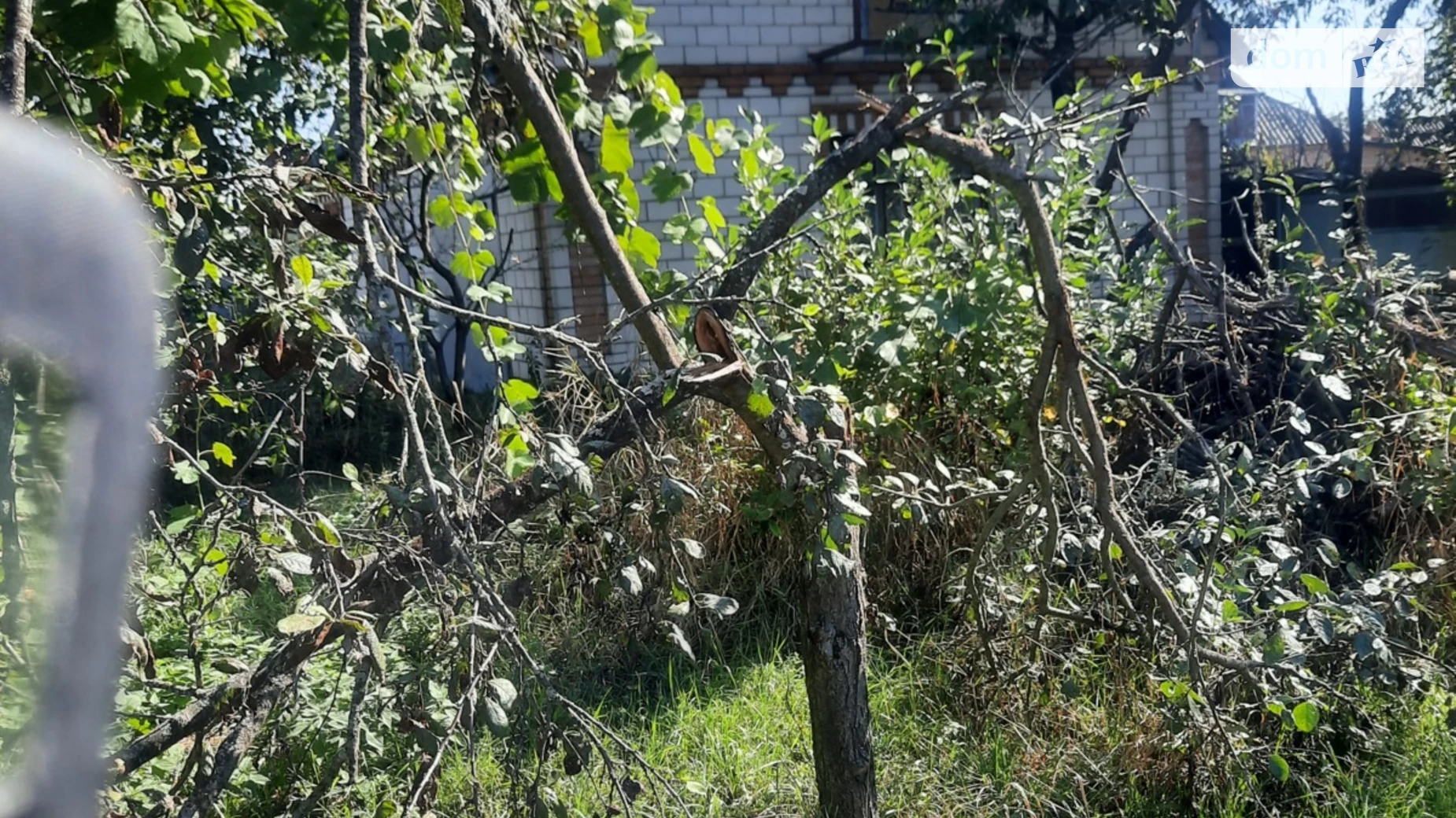 Продается одноэтажный дом 119 кв. м с террасой, цена: 35000 $ - фото 4