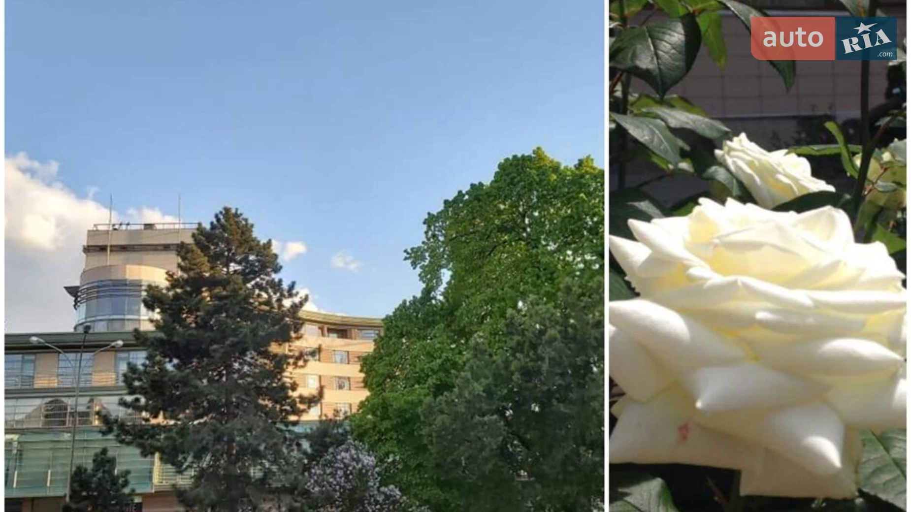 Продается 2-комнатная квартира 101.5 кв. м в Ужгороде, пл. Жупанатская - фото 5