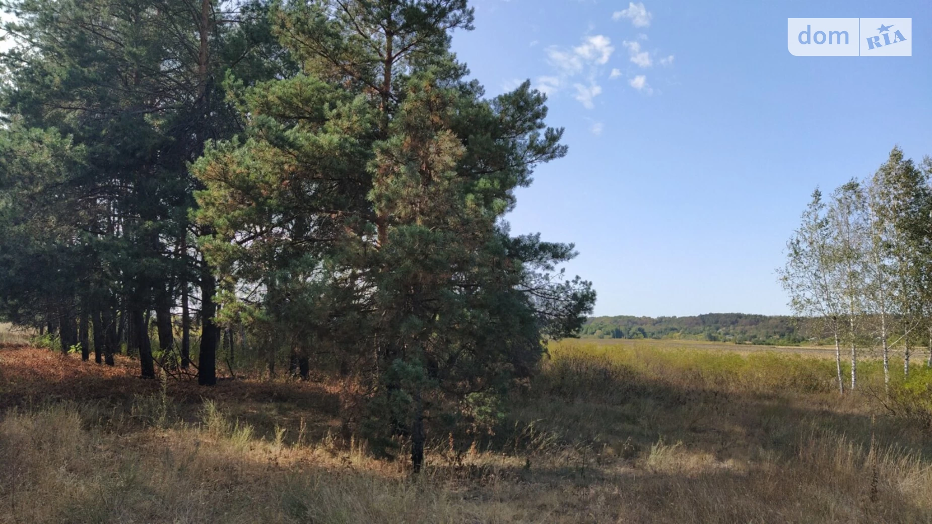 Продається земельна ділянка 75 соток у Черкаській області, цена: 18750 $ - фото 4