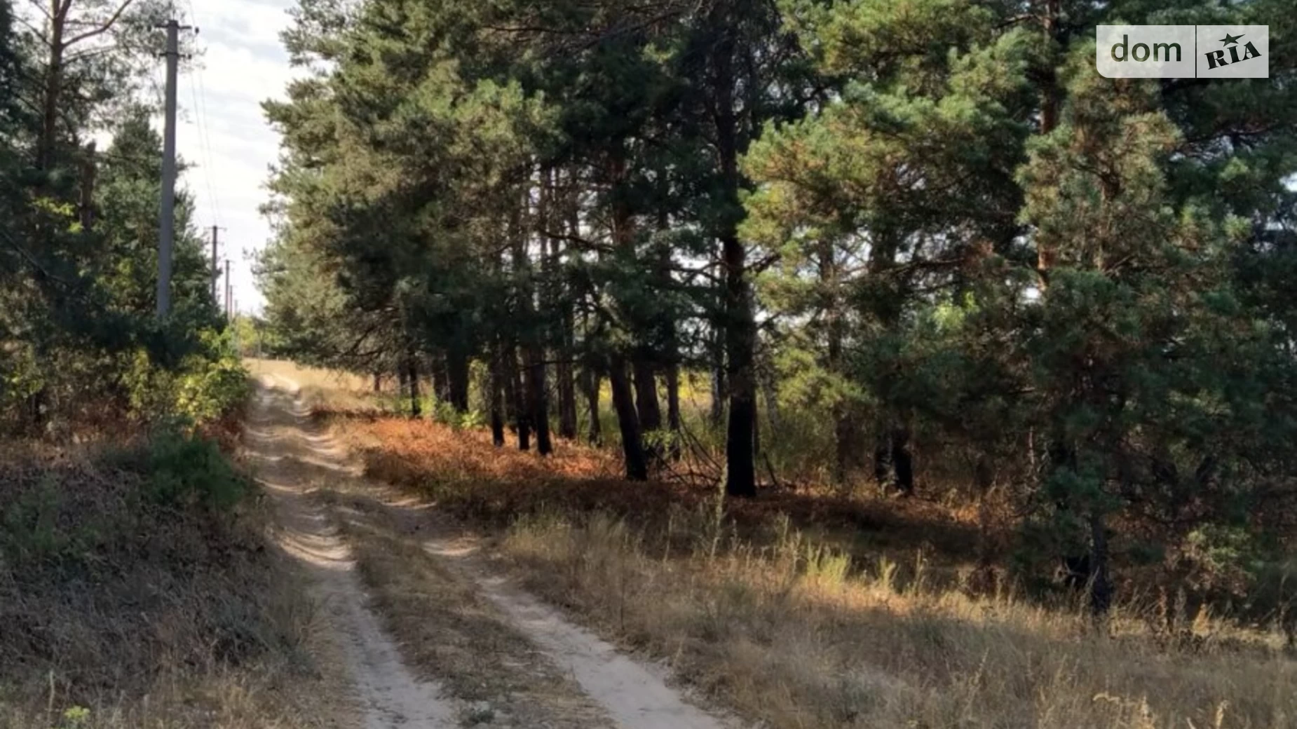 Продається земельна ділянка 75 соток у Черкаській області, цена: 18750 $ - фото 5