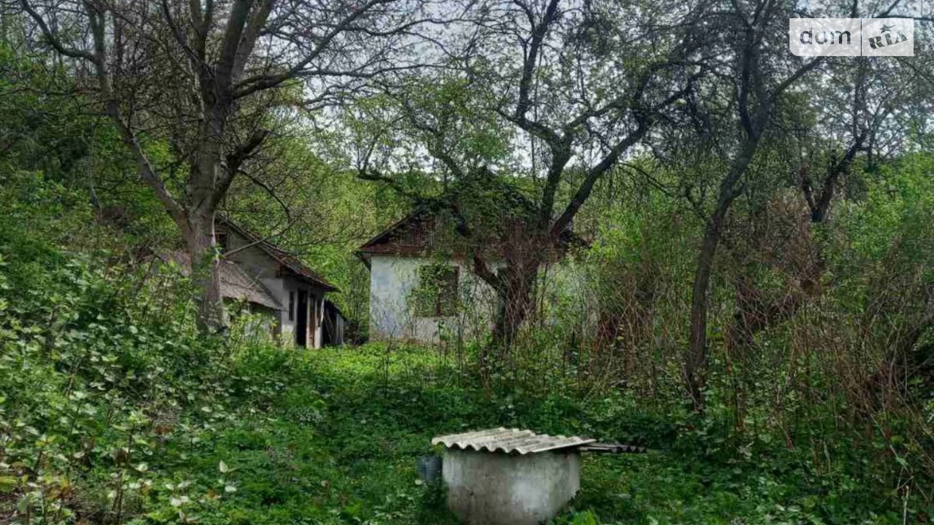 Продается одноэтажный дом 38.4 кв. м с участком, цена: 9000 $ - фото 2