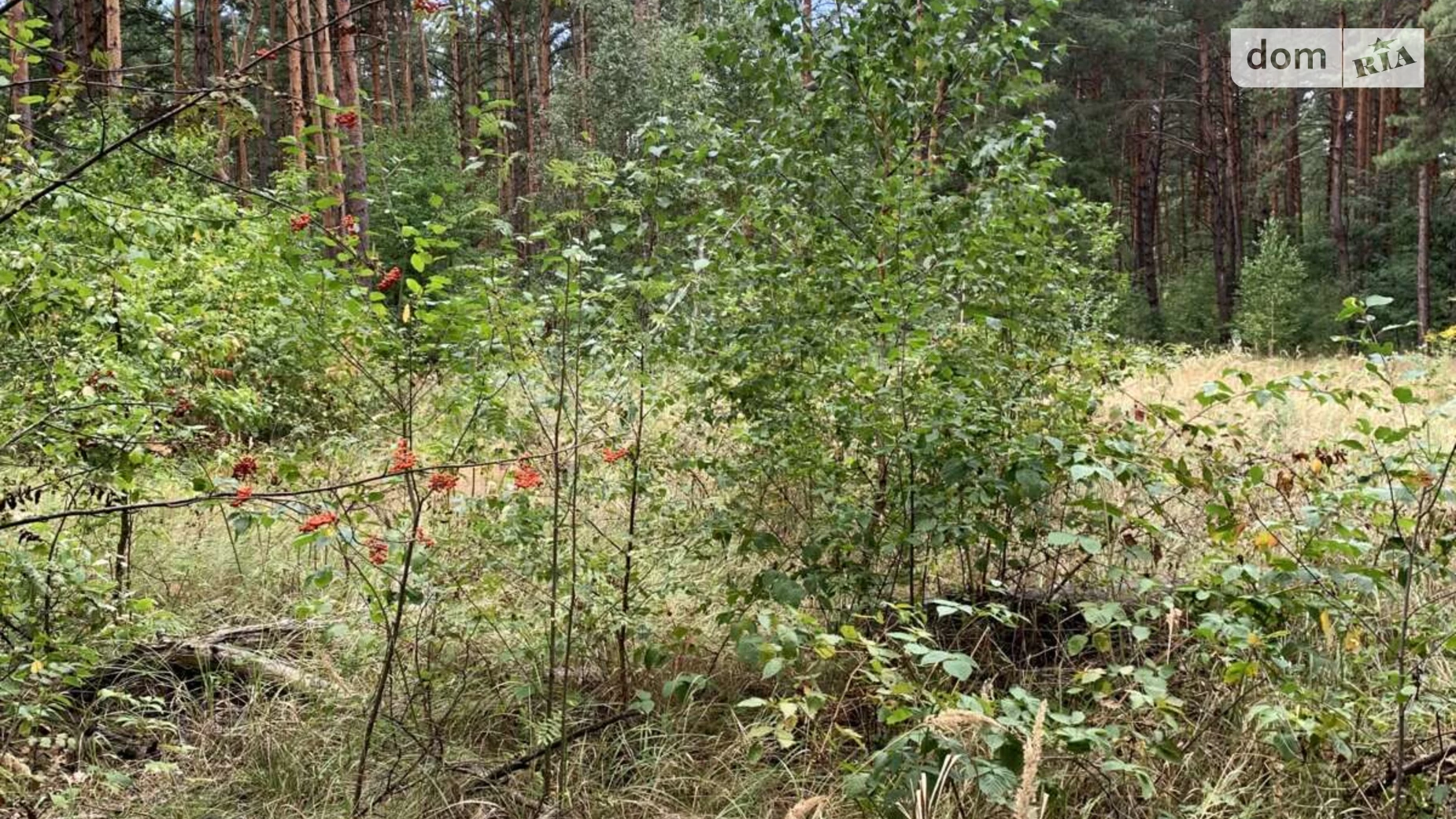 Продается земельный участок 10 соток в Киевской области, цена: 30000 $ - фото 2