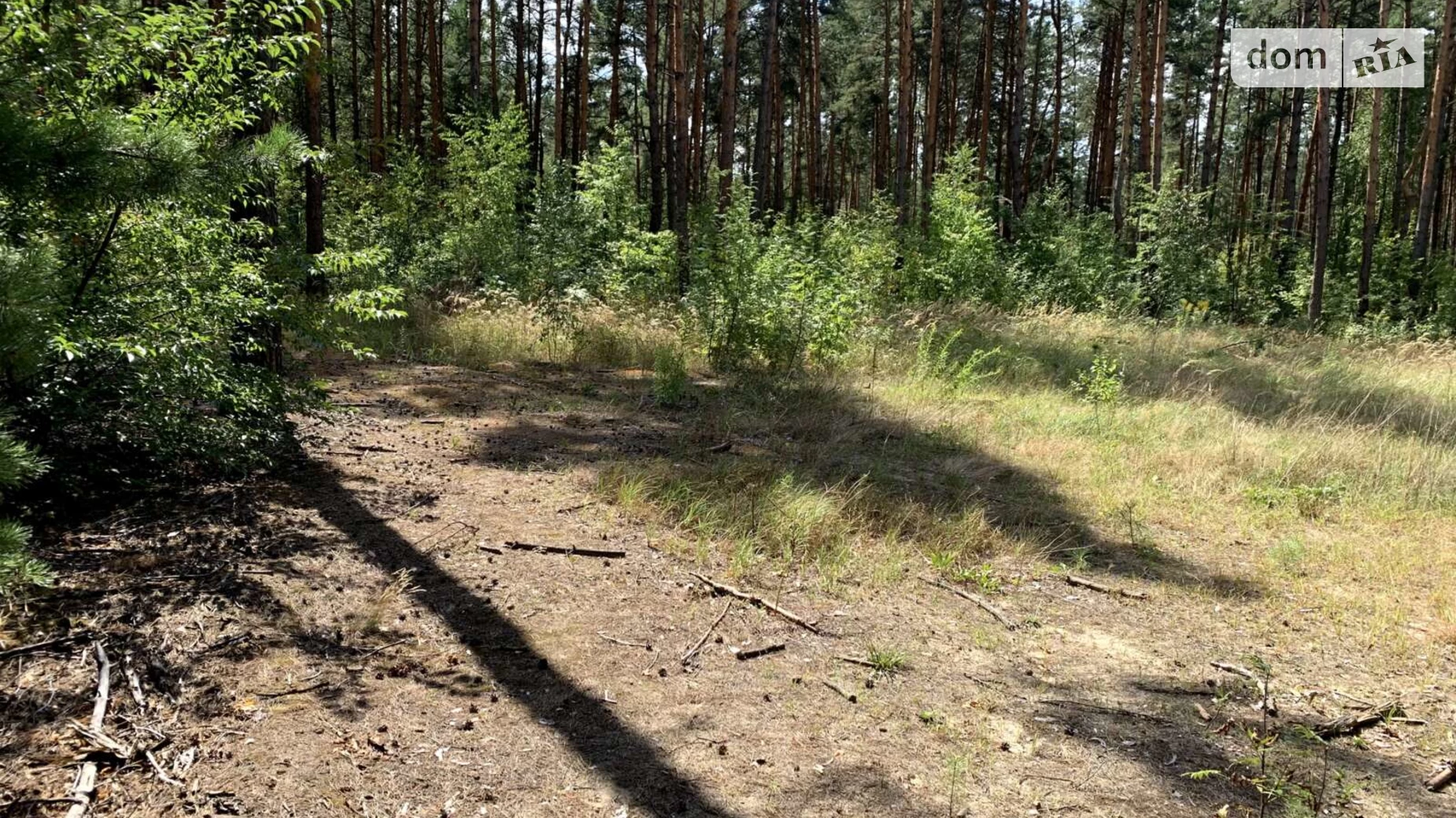 Продается земельный участок 10 соток в Киевской области, цена: 30000 $ - фото 5