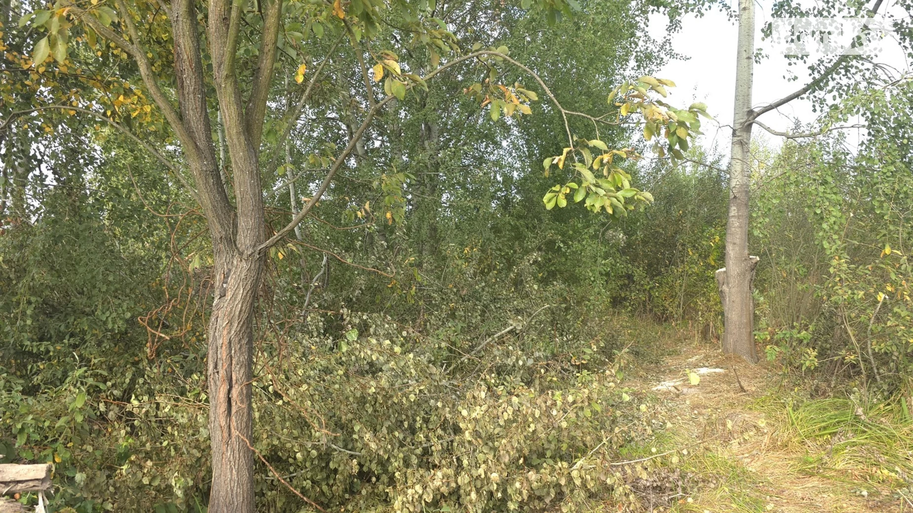 Продається земельна ділянка 9 соток у Житомирській області, цена: 11700 $ - фото 5