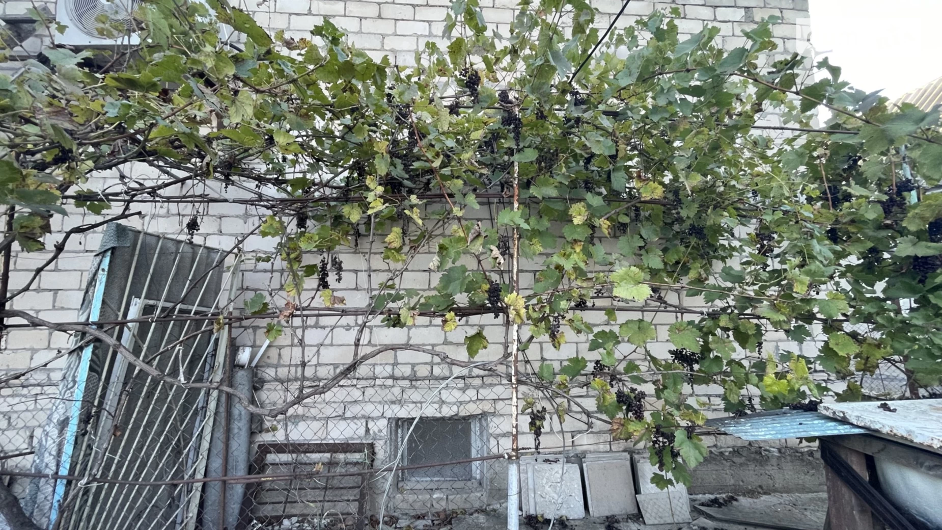 Продается одноэтажный дом 60 кв. м с гаражом, цена: 32500 $ - фото 4