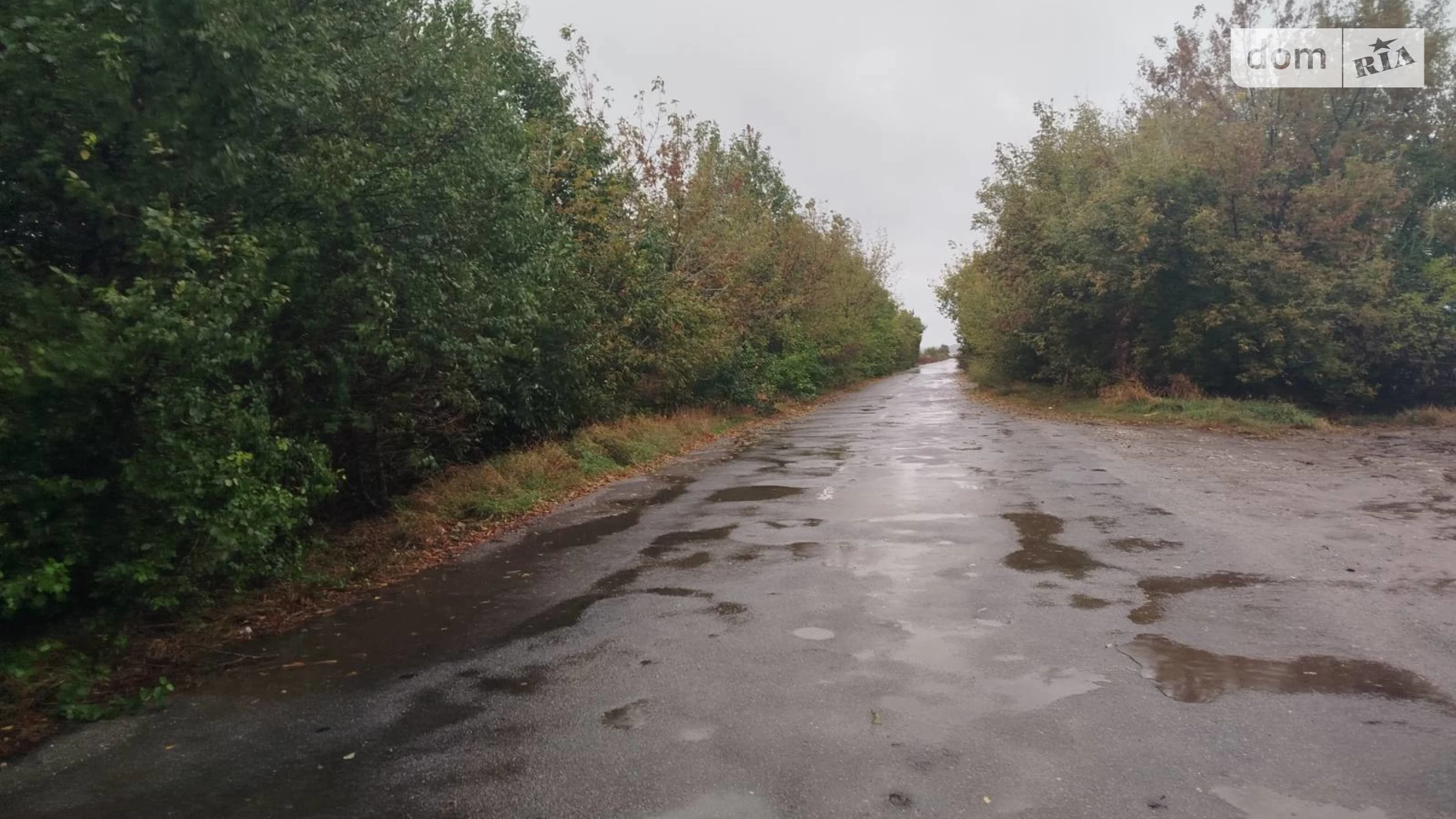 Малашівці, цена: 9500 $ - фото 3