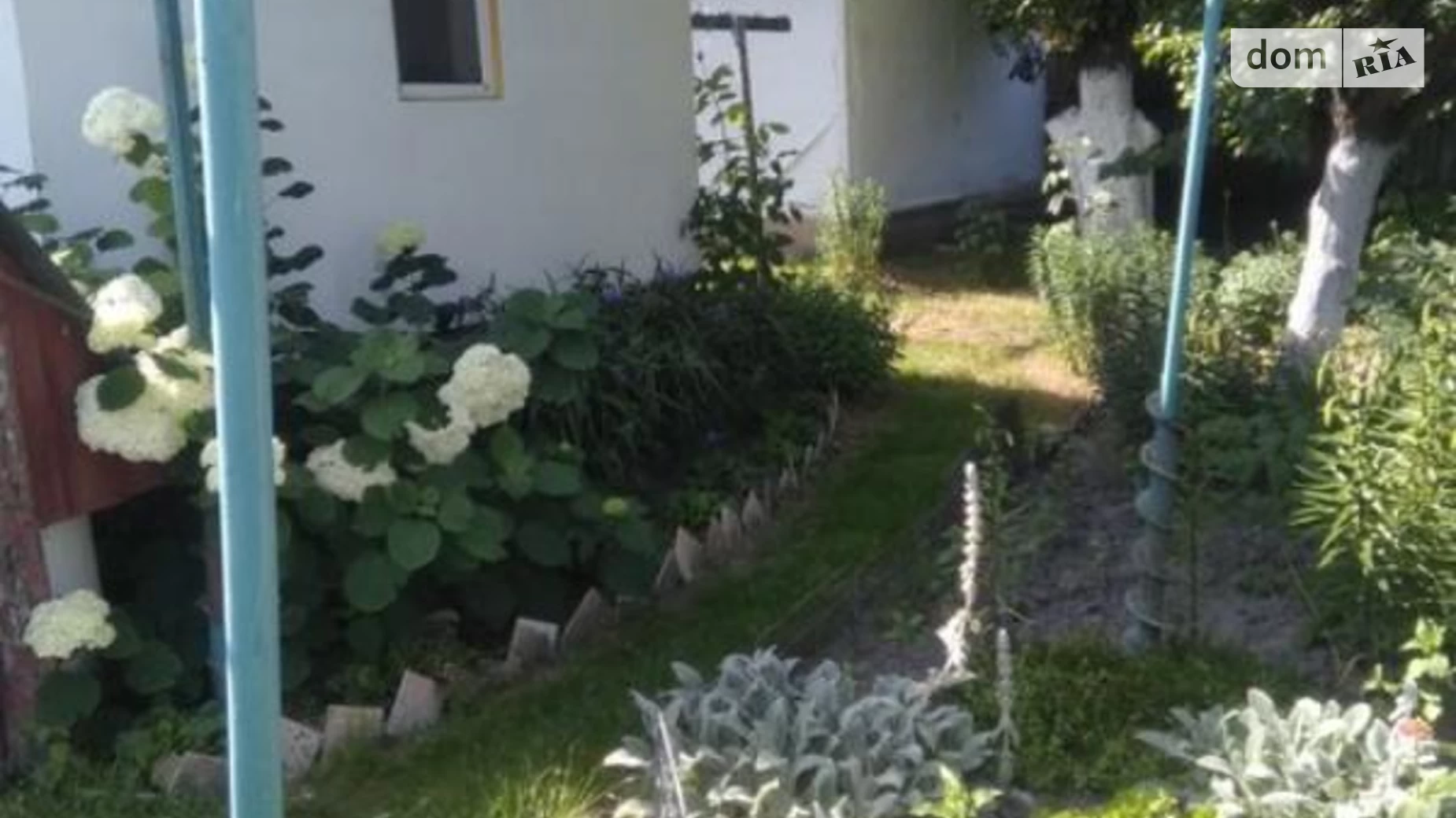 Продается одноэтажный дом 64 кв. м с подвалом, цена: 5500 $ - фото 3