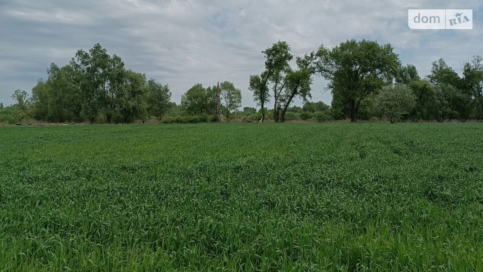 вул. Лугова Требухів, цена: 22000 $ - фото 2
