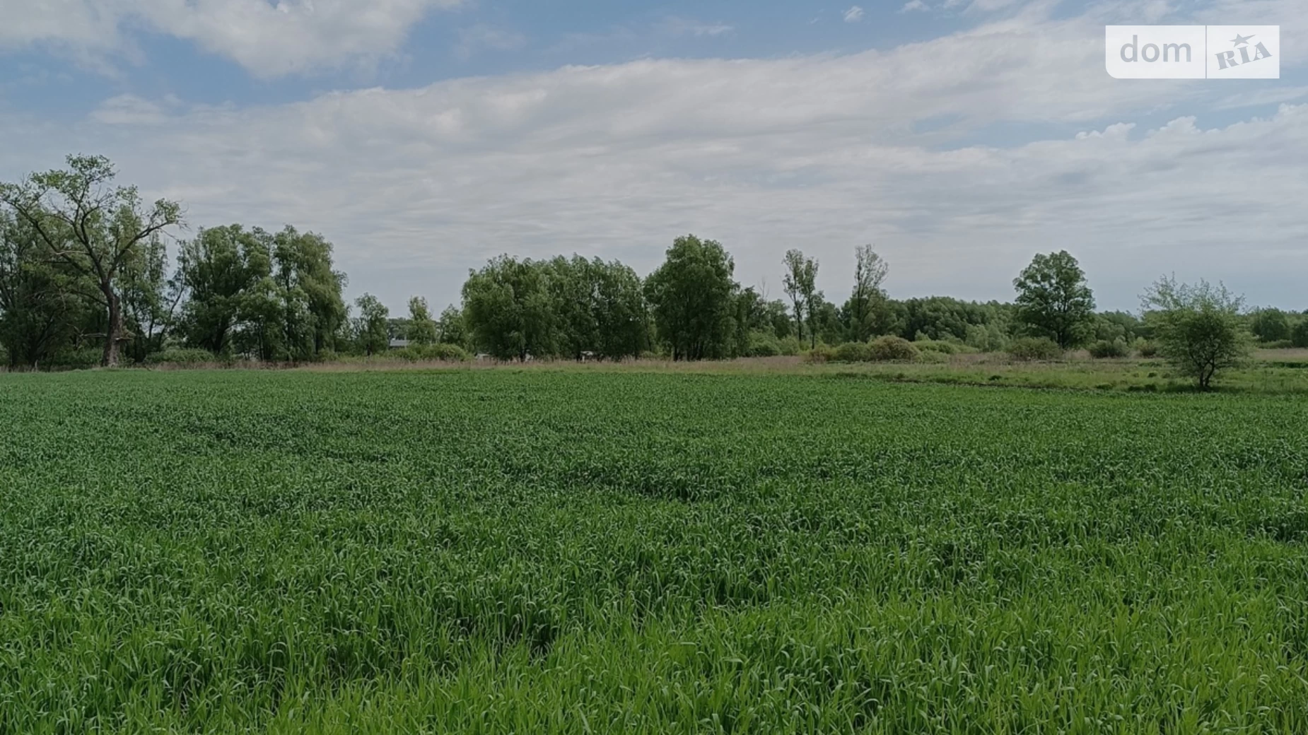 вул. Лугова Требухів, цена: 22000 $ - фото 4