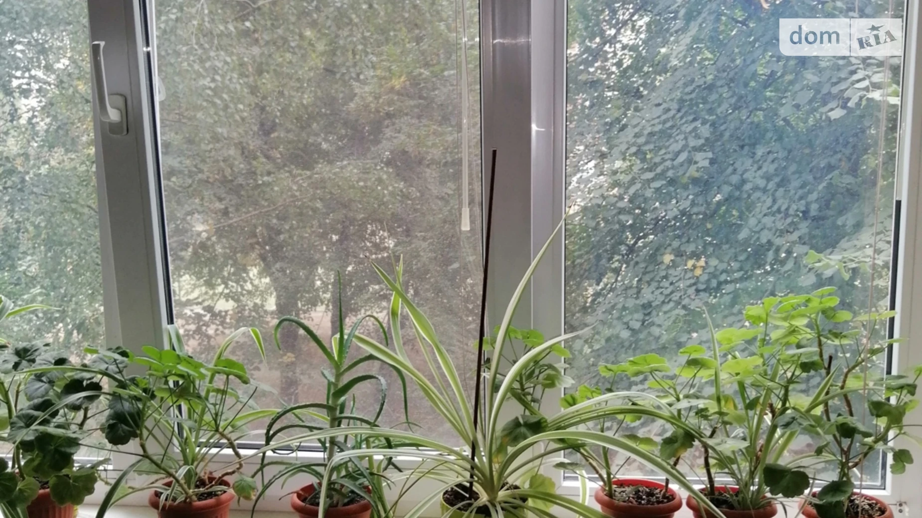 Здається в оренду 1-кімнатна квартира 41 кв. м у Києві, вул. Академіка Кіпріанова, 2 - фото 4