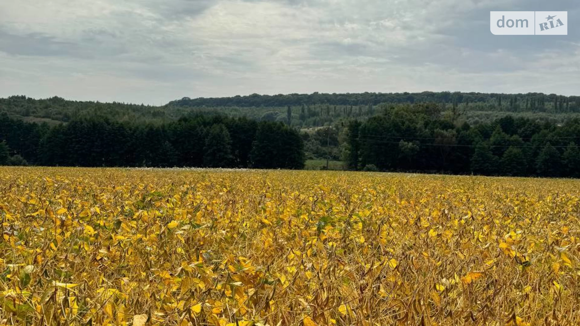 Продається земельна ділянка 2 соток у Хмельницькій області, цена: 148000 $ - фото 5